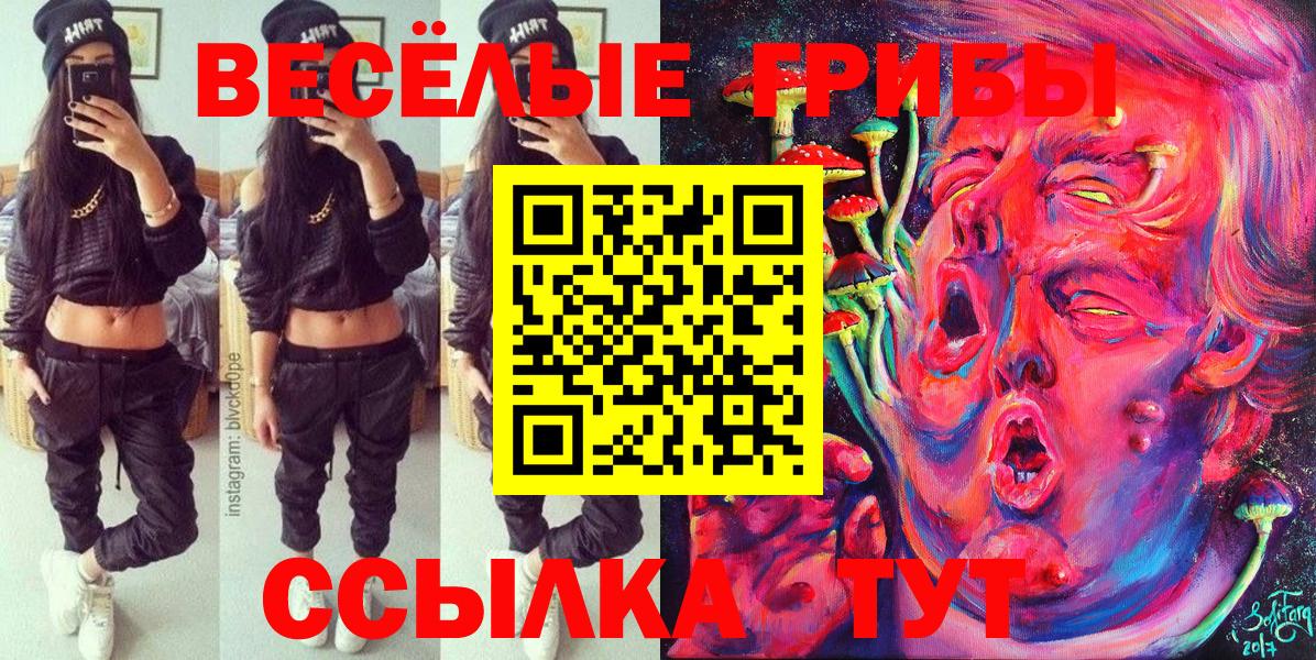 Псилоцибиновые грибы Cubensis  Вход с VPN  Псилоцибиновые грибы MAGIC MUSHROOMS  Сосновый Бор 